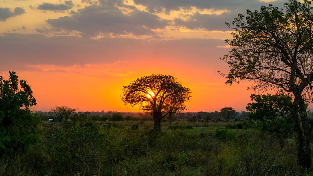 Liwonde National Park