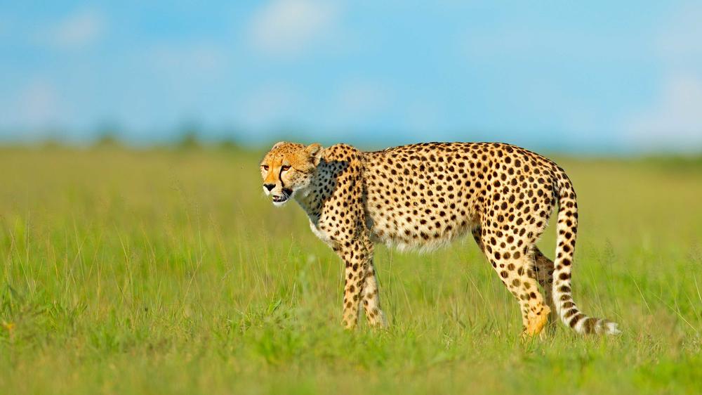 Mana Pools National Park
