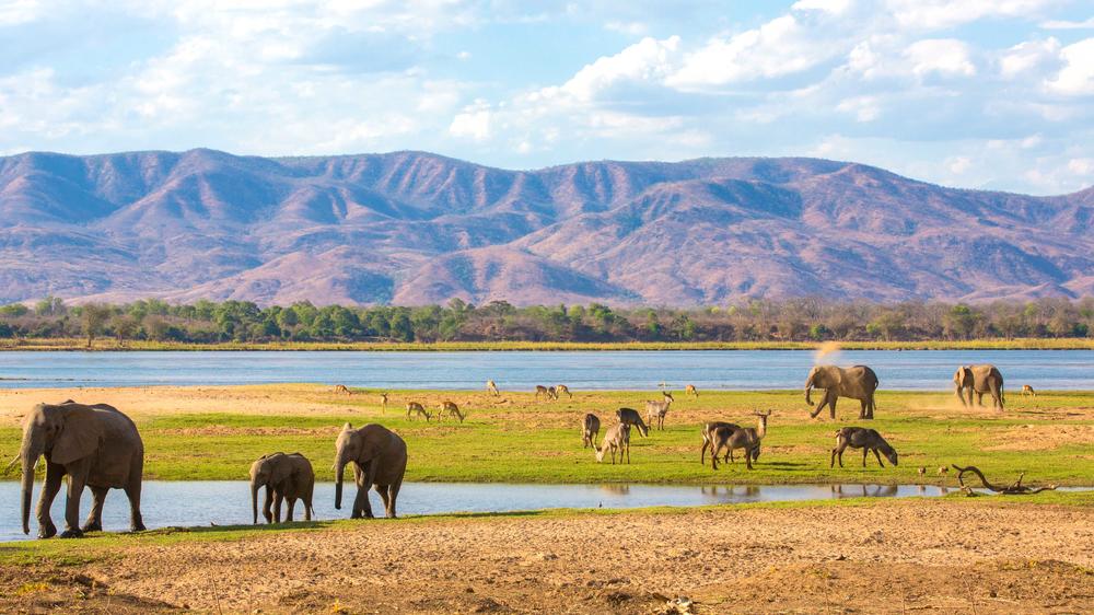 Mana Pools National Park
