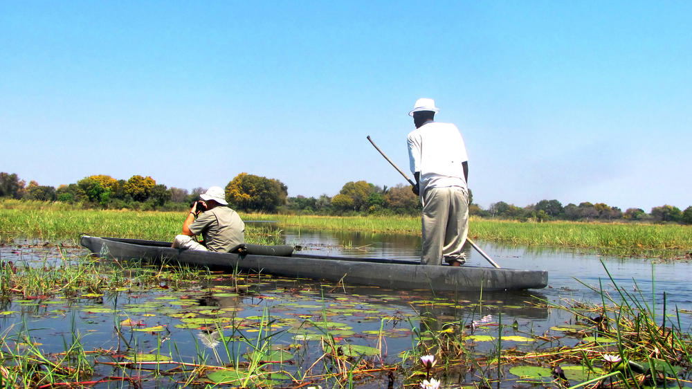 Okavango Panhandle