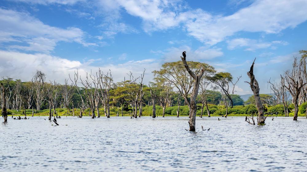 Naivasha