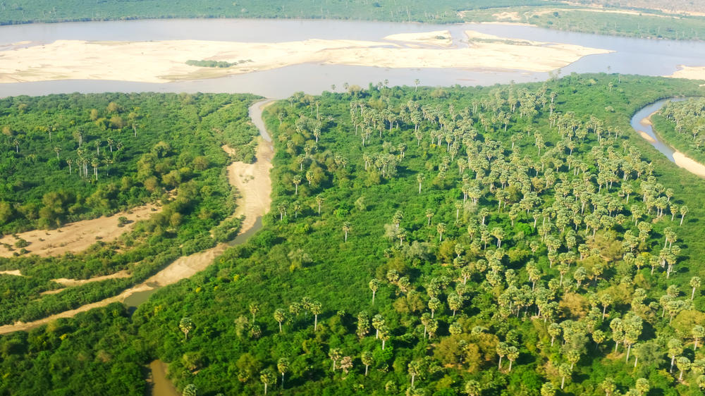 Nyerere National Park