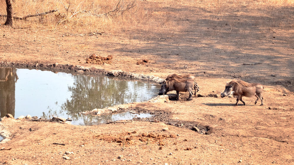 Majete Wildlife Reserve