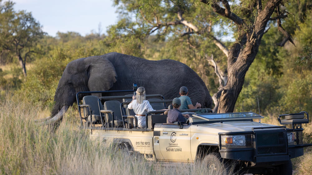 Tintswalo Safari