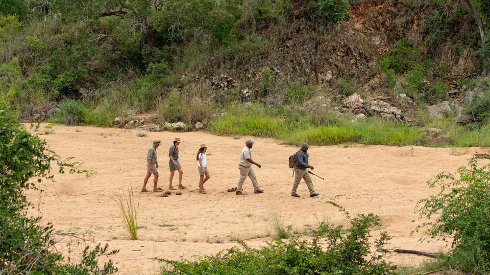 Thornybush Game Lodge