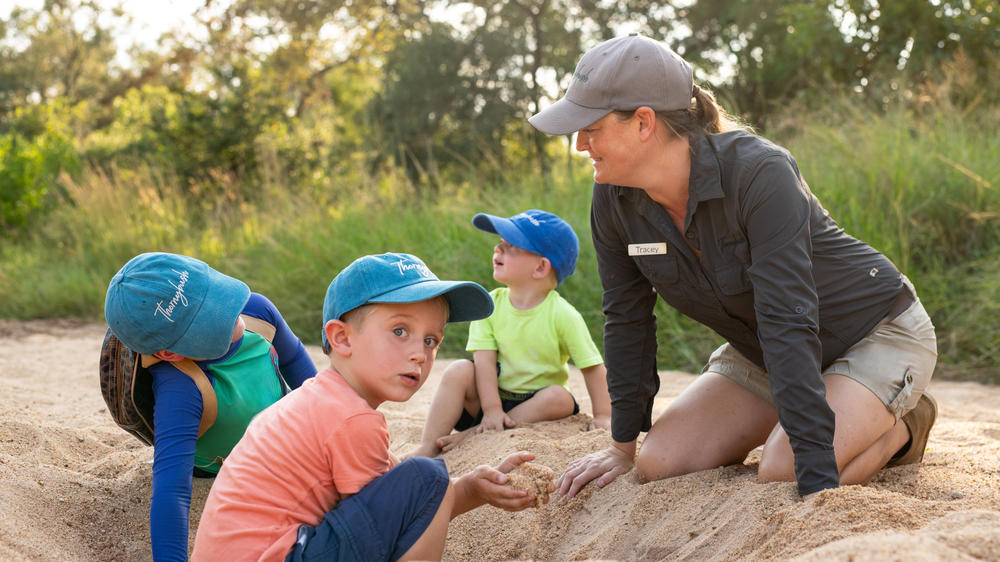 Thornybush Game Lodge