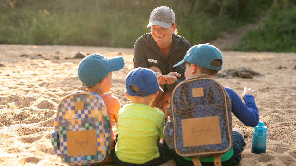 Thornybush Game Lodge