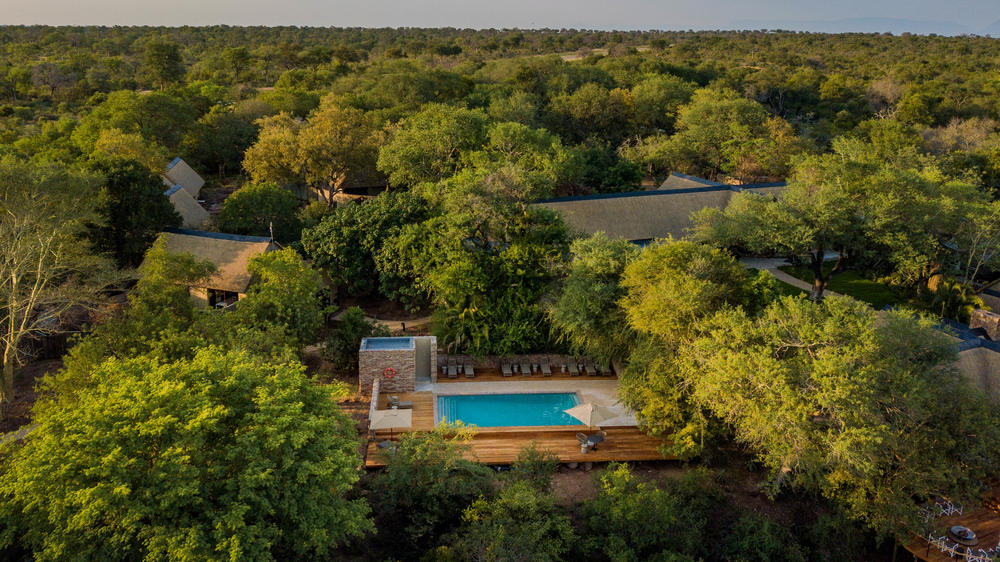 Thornybush Game Lodge