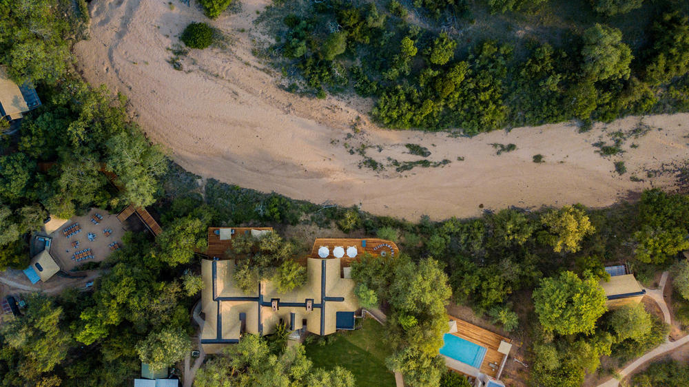 Thornybush Game Lodge