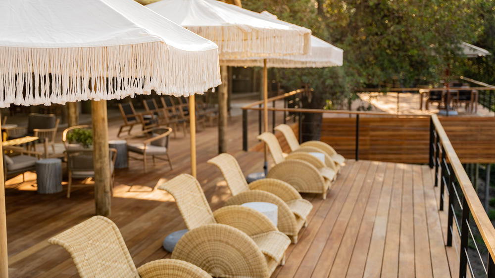 Thornybush Game Lodge