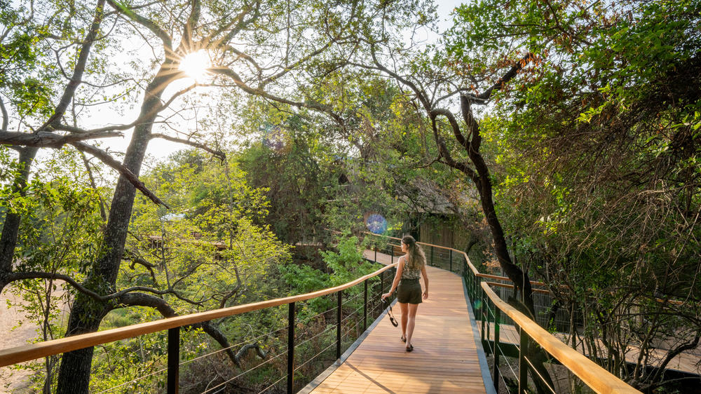 Thornybush Game Lodge