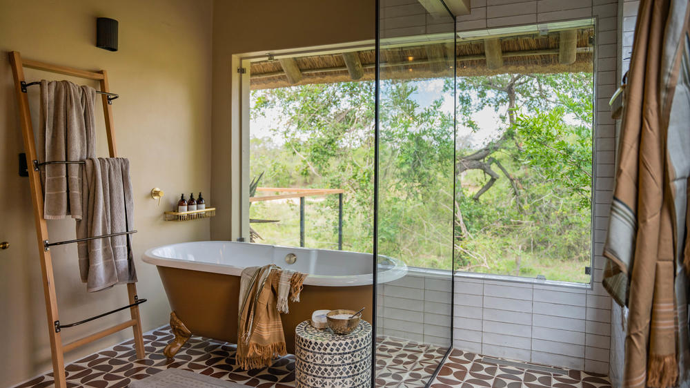 Thornybush Game Lodge