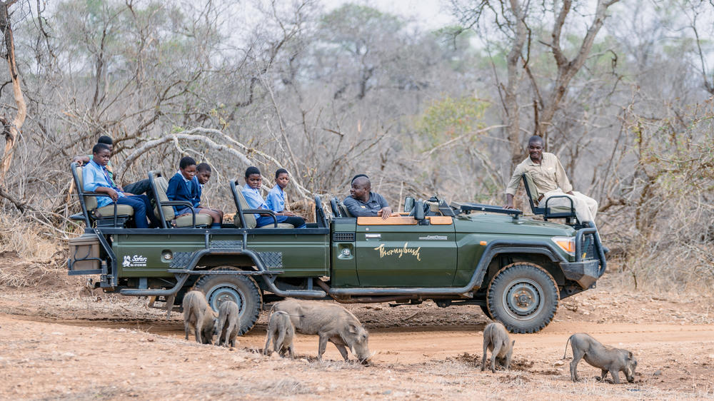 Thornybush Game Lodge