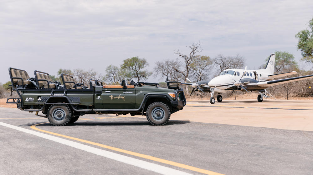 Thornybush Game Lodge