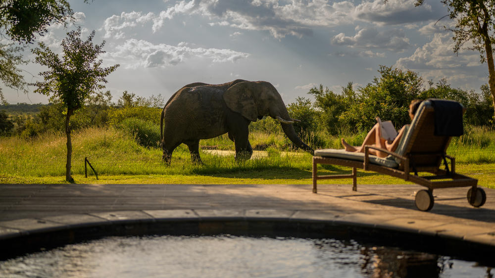 Savanna Private Game Reserve