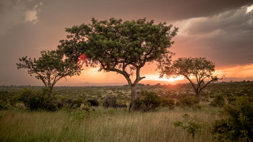 Savanna Private Game Reserve