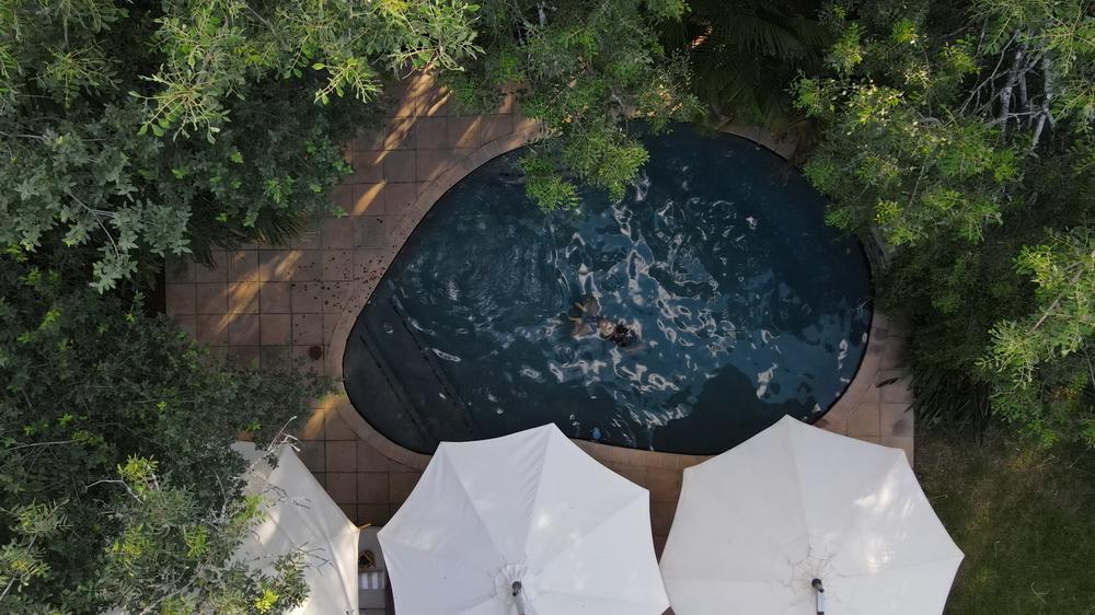 Savanna Private Game Reserve