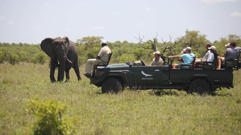 andBeyond Ngala Safari Lodge