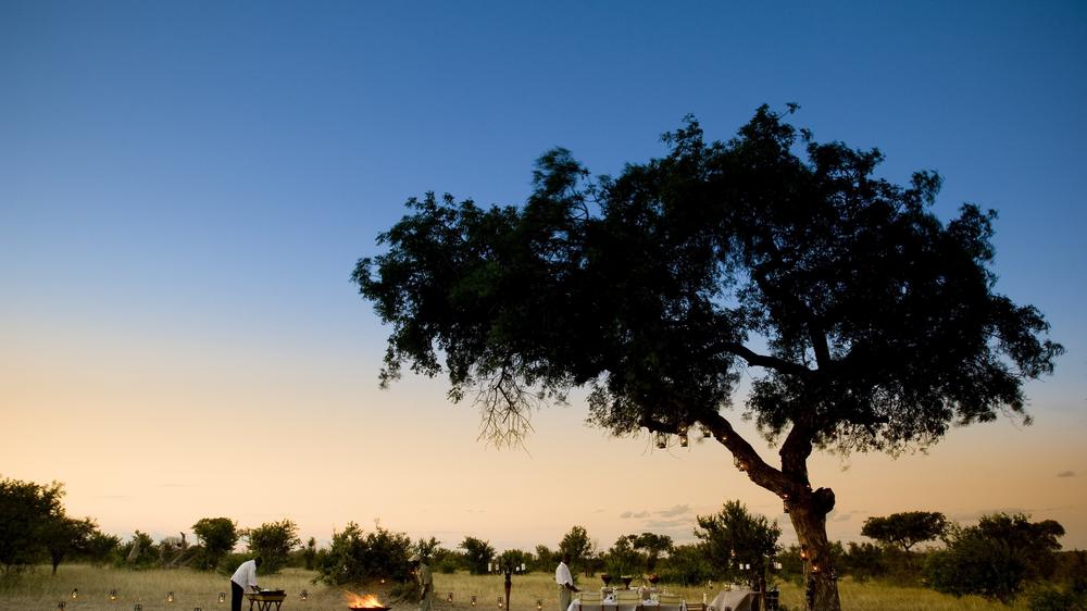 andBeyond Ngala Safari Lodge