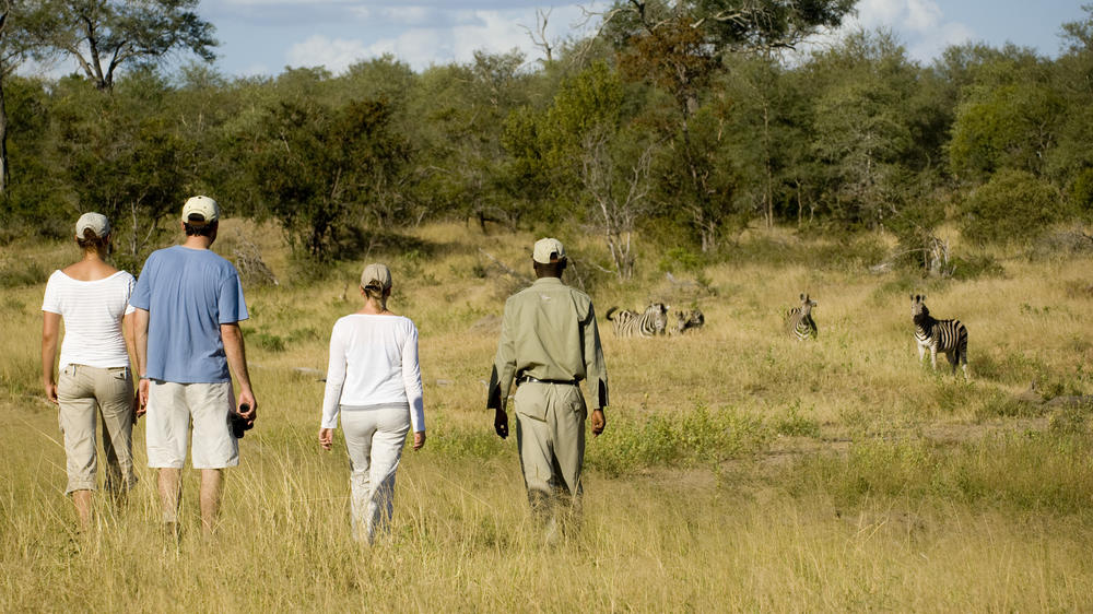 andBeyond Ngala Safari Lodge