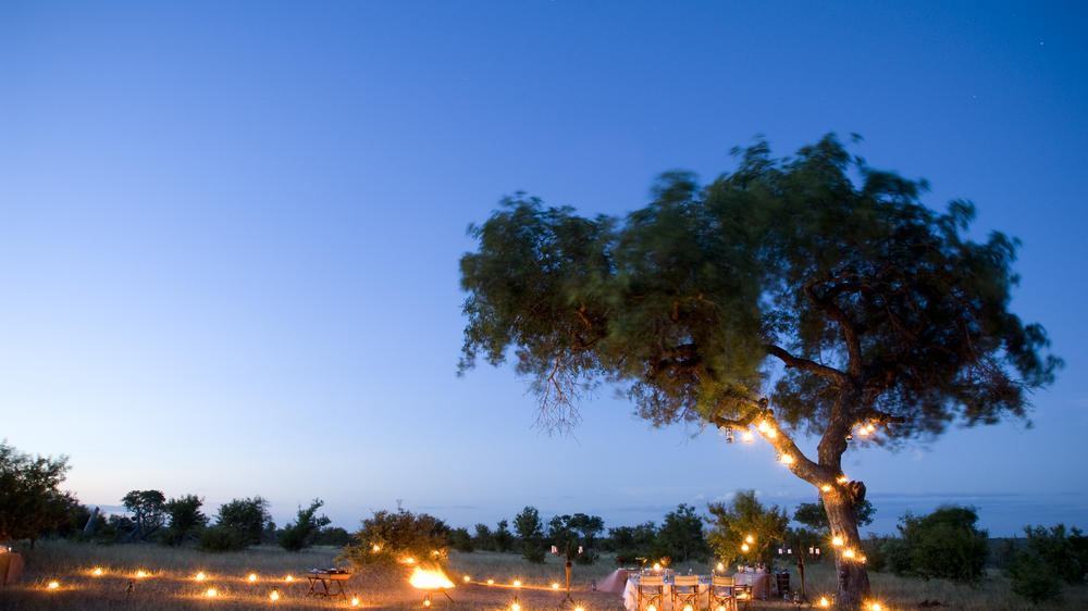 andBeyond Ngala Safari Lodge