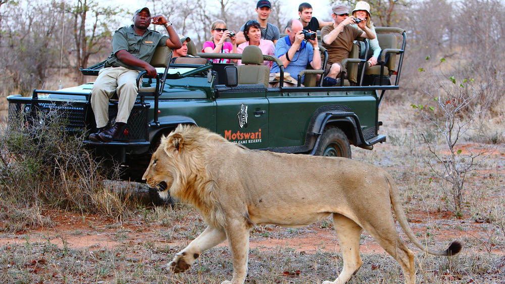 Motswari Private Game Reserve