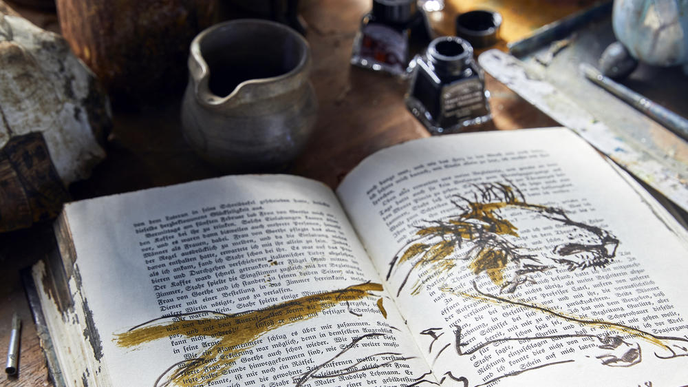 Motswari Private Game Reserve