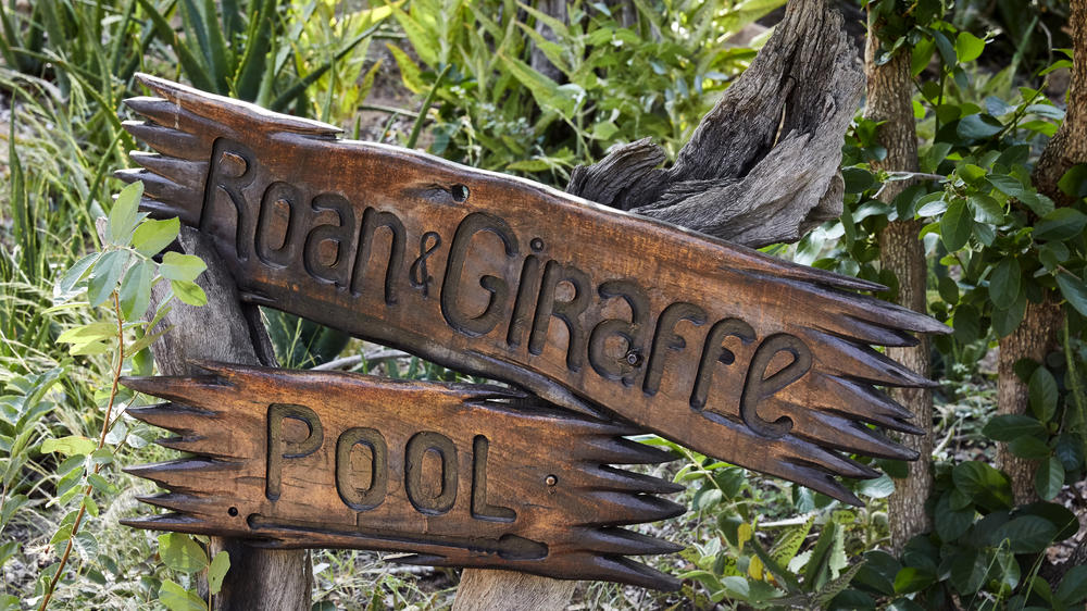 Motswari Private Game Reserve