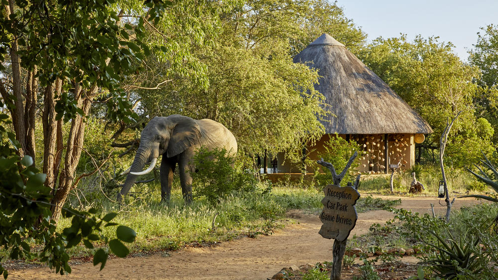 Motswari Private Game Reserve