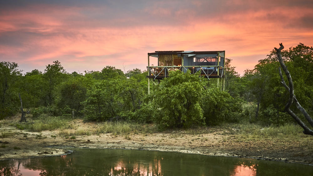 Motswari Private Game Reserve