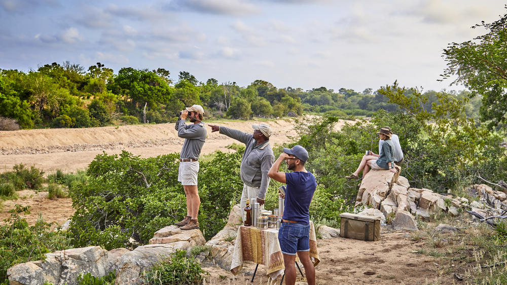 Motswari Private Game Reserve