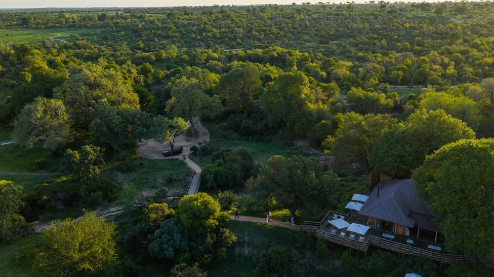 South Africa - 4-Day MalaMala Safari with MalaMala Camp - Tailored Driven