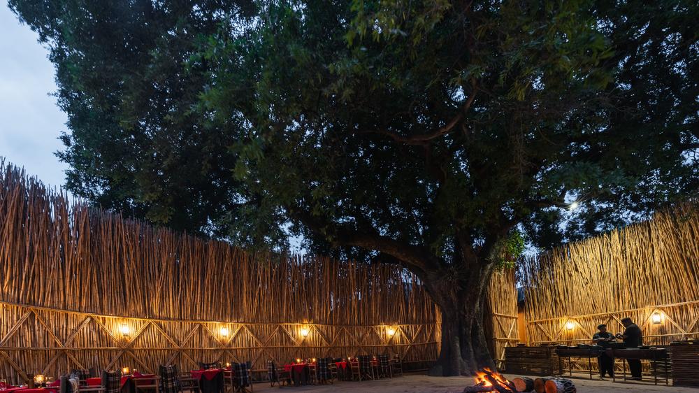MalaMala Camp