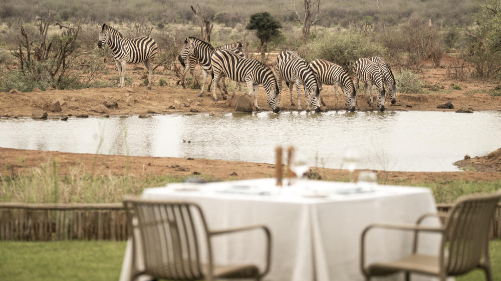 Madikwe Safari Lodge