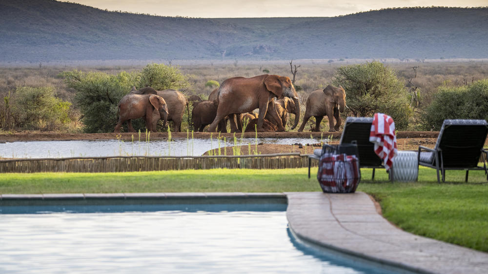 Madikwe Safari Lodge