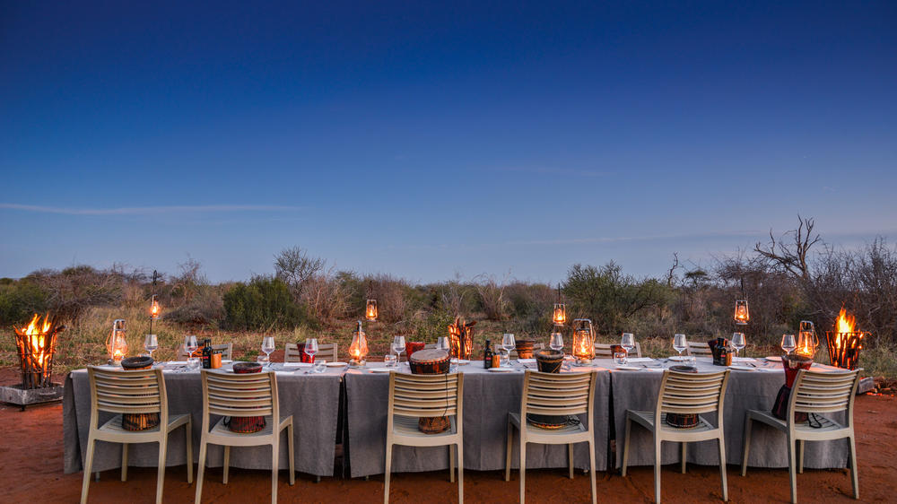 Madikwe Safari Lodge