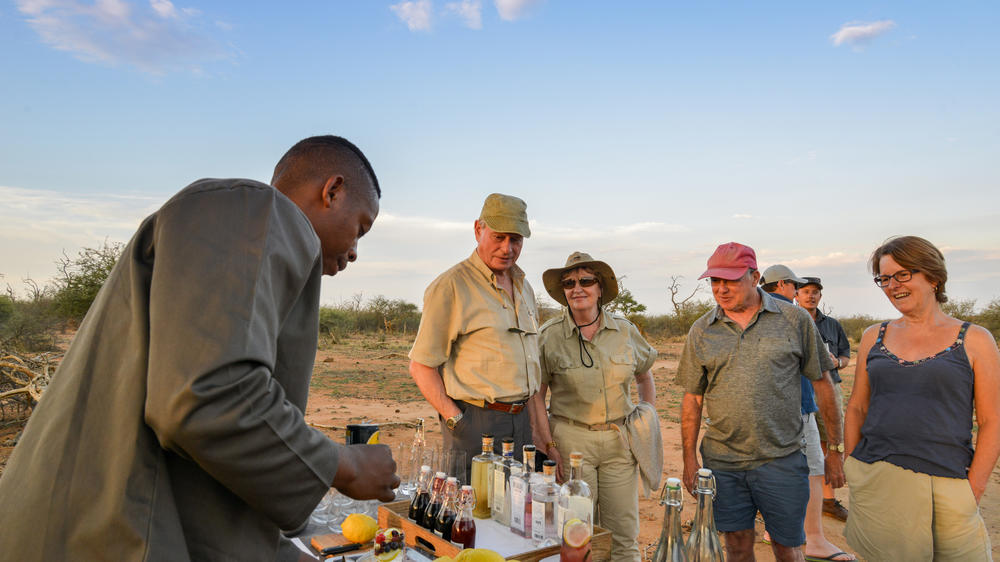 Madikwe Safari Lodge