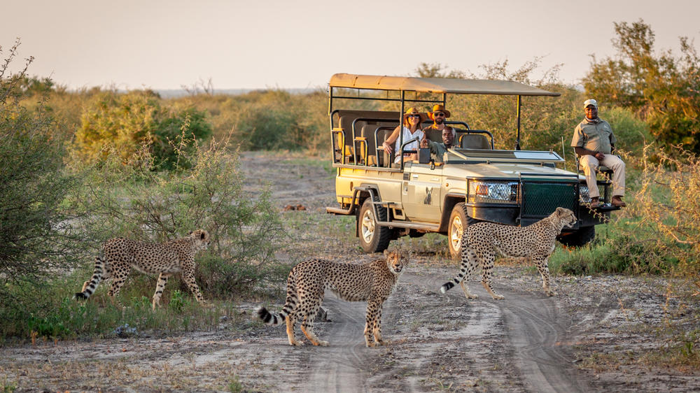 Madikwe Hills Private Game Lodge