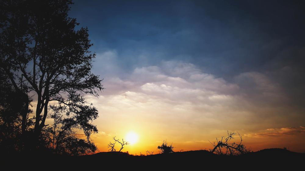 Madikwe Hills Private Game Lodge