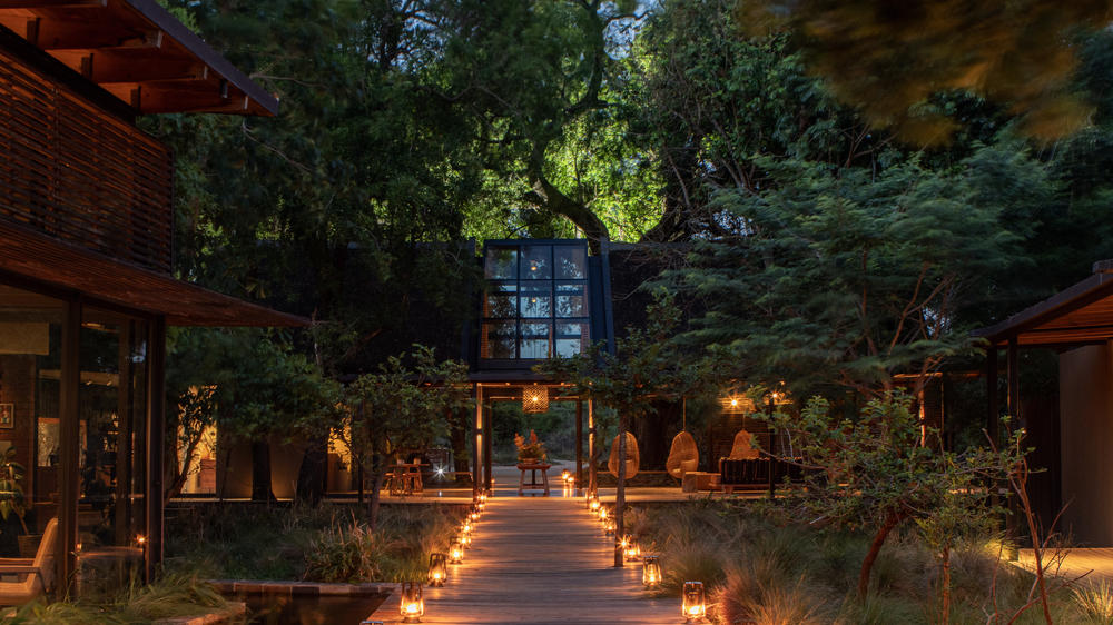 South Africa - 4-day Sabi Sand Safari with Lion Sands River Lodge - Tailored Driven