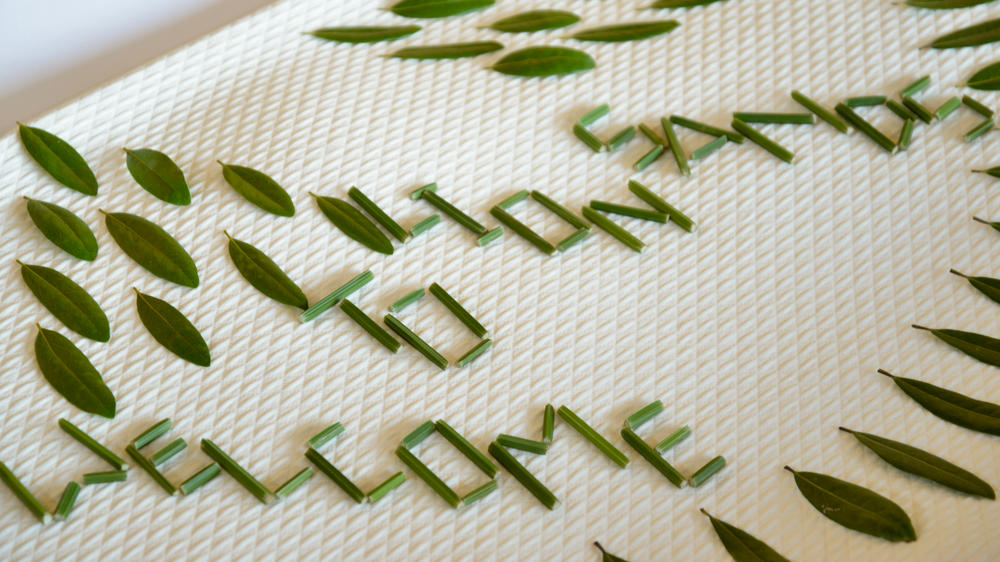 Lion Sands River Lodge