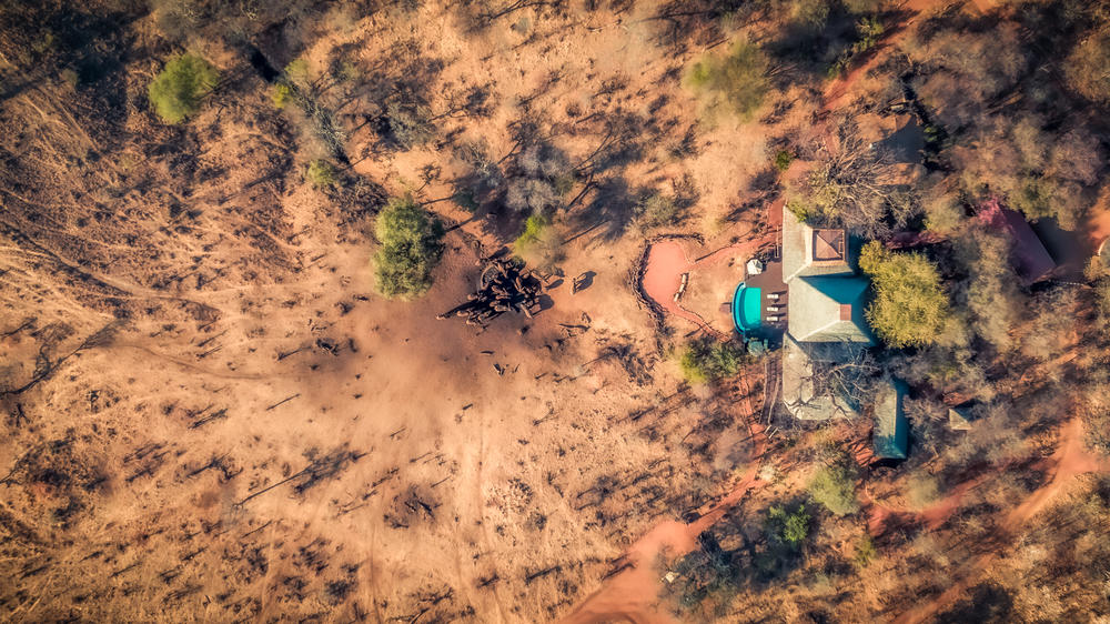 Elewana Tarangire Treetops