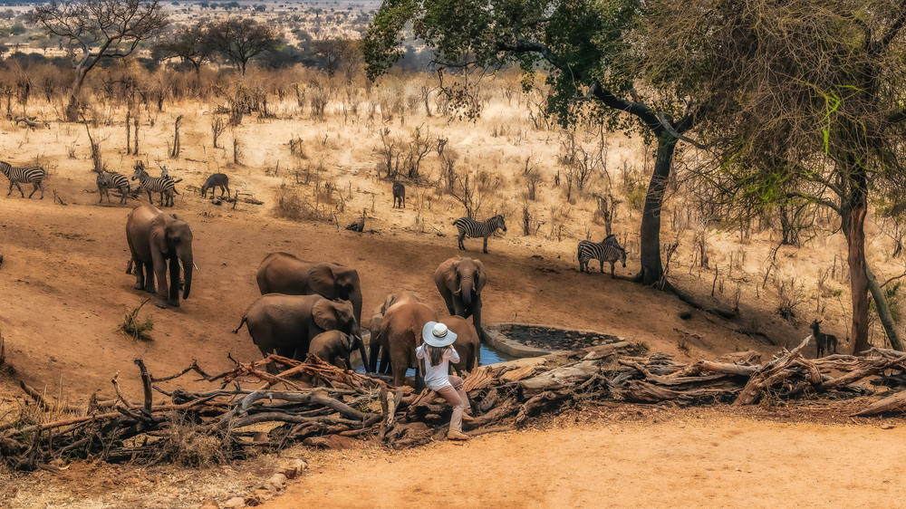 Elewana Tarangire Treetops