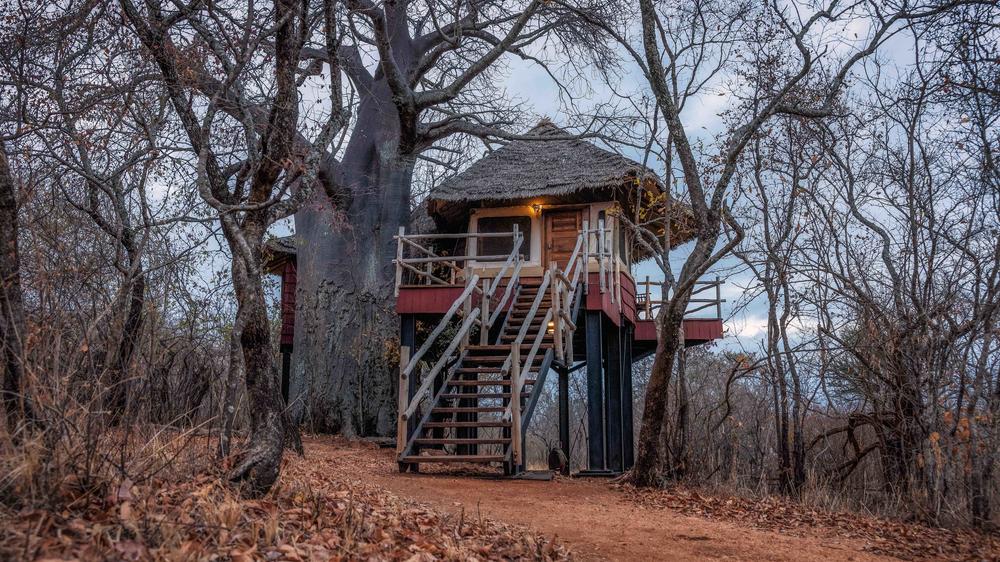 Elewana Tarangire Treetops
