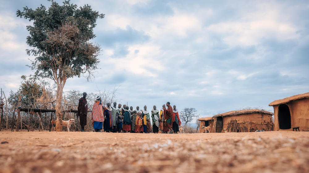 Elewana Tarangire Treetops