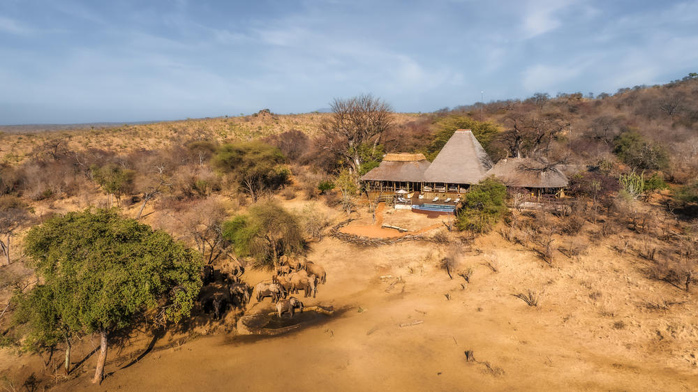 Elewana Tarangire Treetops