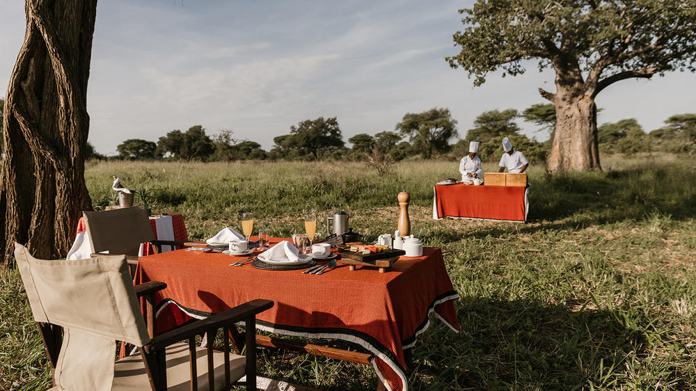 Elewana Tarangire Treetops