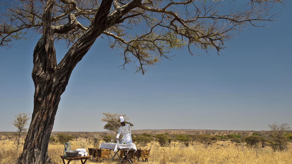 Elewana Tarangire Treetops