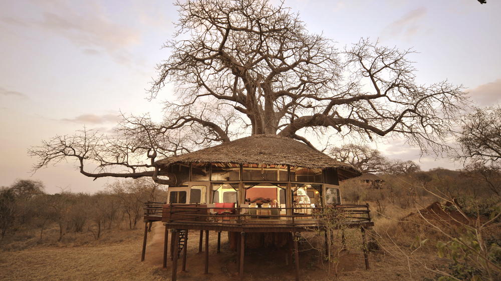 Elewana Tarangire Treetops