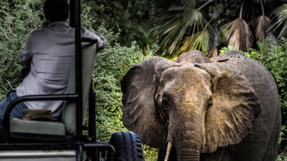 Lake Manze Tented Camp